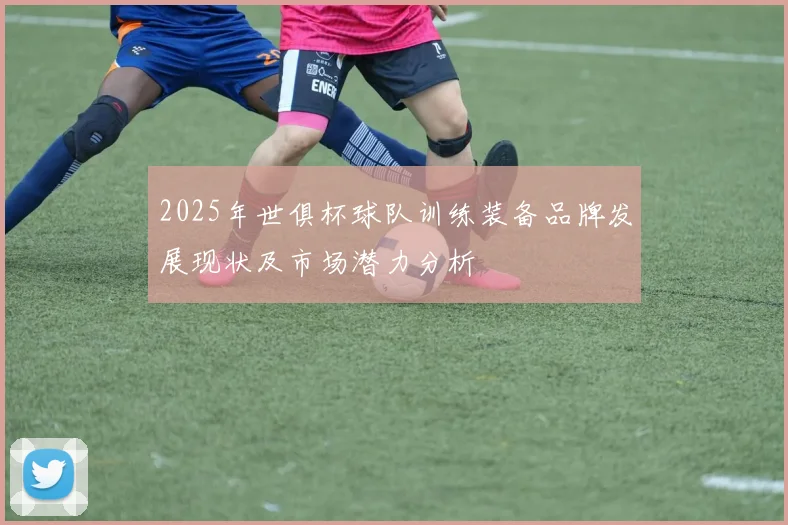 2025年世俱杯球队训练装备品牌发展现状及市场潜力分析