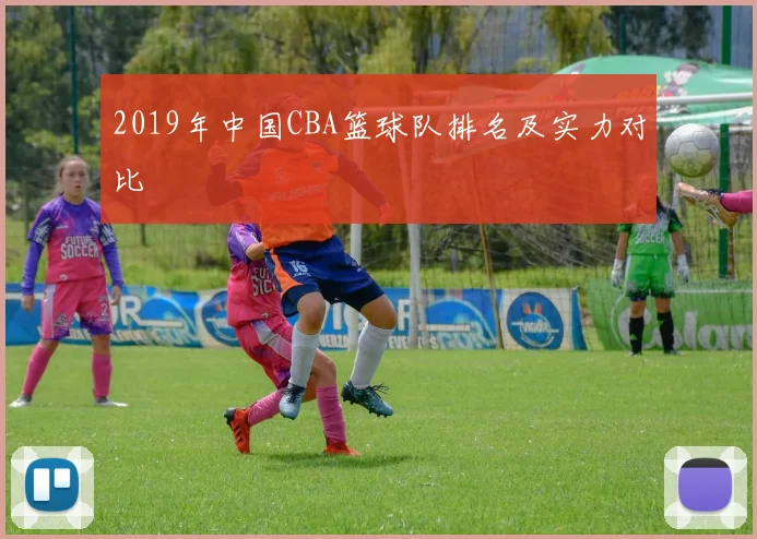 2019年中国CBA篮球队排名及实力对比