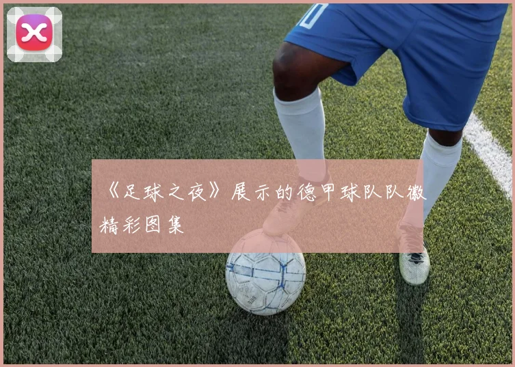 《足球之夜》展示的德甲球队队徽精彩图集