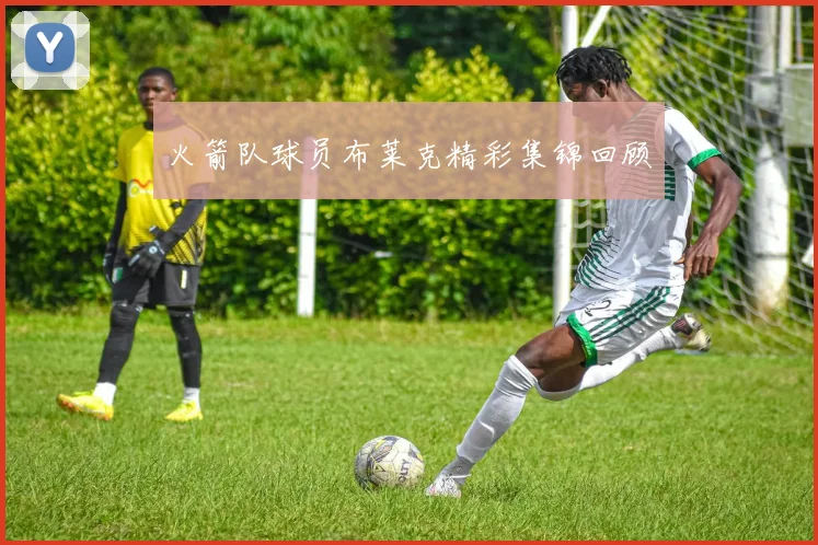 火箭队球员布莱克精彩集锦回顾