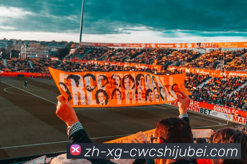 世界杯买球发展历程